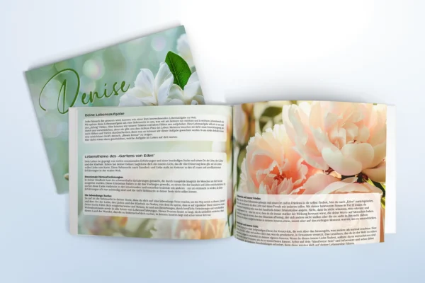 Human Design Reading Buch Motiv Denise